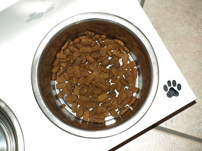 Hundefutter Trockenfutter