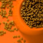 Futterstücke als Symbol für die Zusammensetzung von Katzenfutter