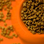 Trockenfutter als Beispiel für die Auswahl von Katzenfutter